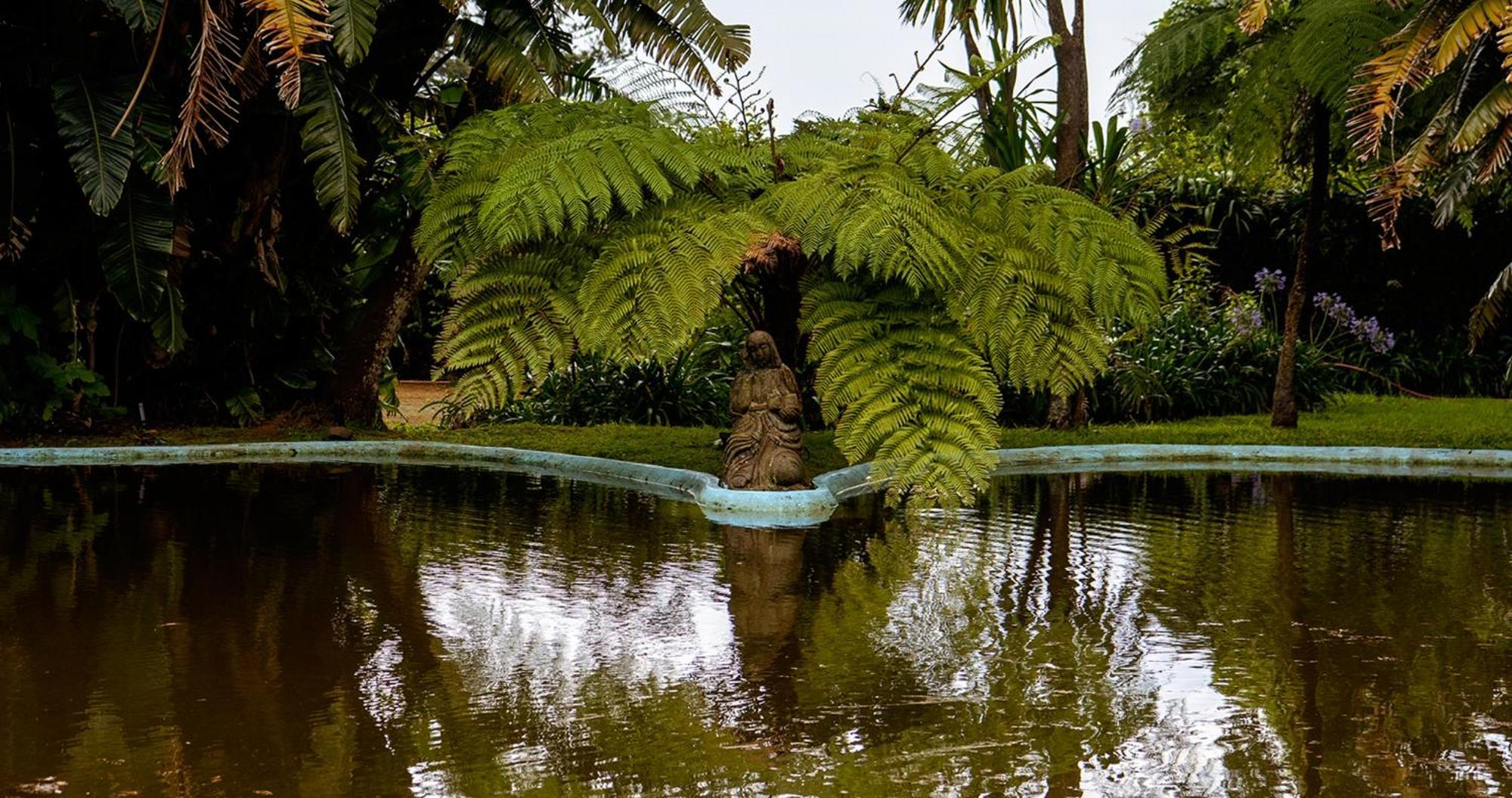 الشقق الفندقية أنغرا دو إِراويزوفي  Quinta Da Nasce Agua المظهر الخارجي الصورة
